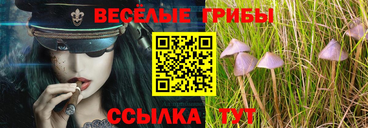 Псилоцибиновые грибы прущие грибы  Псилоцибиновые грибы GOLDEN TEACHER  Вход с VPN  Бугульма 