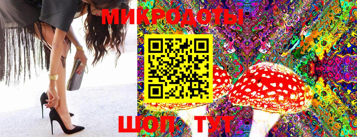 Галлюциногенные грибы Psilocybine cubensis Бугульма